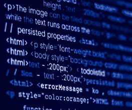 Web Development & Modern UI/UX Design Internship in Thanjavur