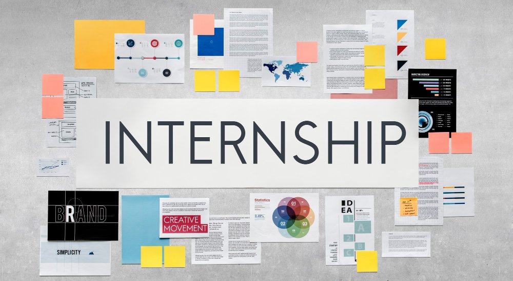 Internship Program Empowering Future Professionals